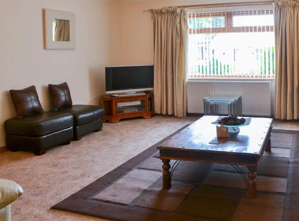 Warm and welcoming living room at Riverside in Brydekirk, Annon, Dumfriesshire