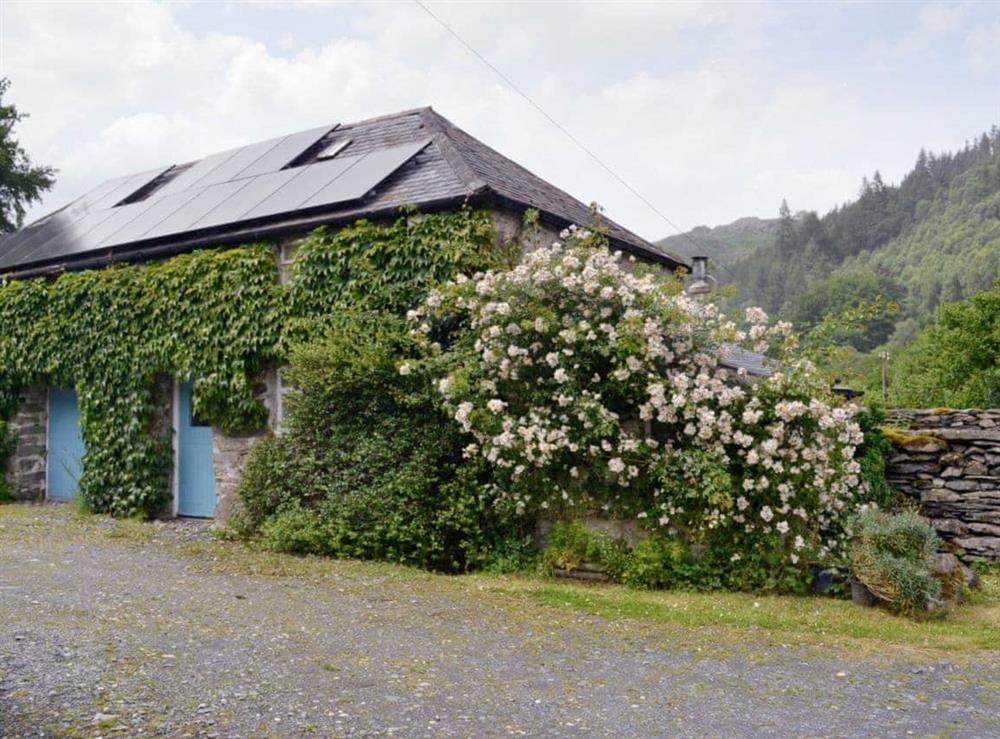 Ivy covered façade at Riverside Cottage in Betws-y-Coed, Gwynedd