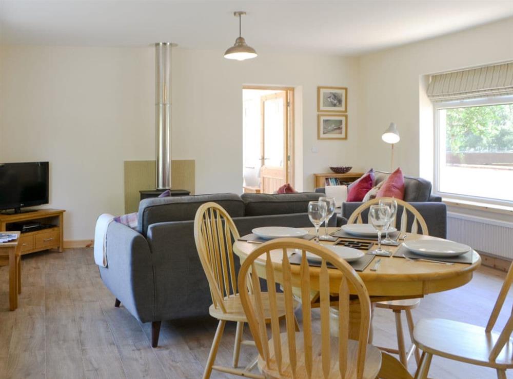 Spacious open plan living space at Riverside Cottage in Boreland, near Lockerbie, Dumfries and Galloway, Dumfriesshire