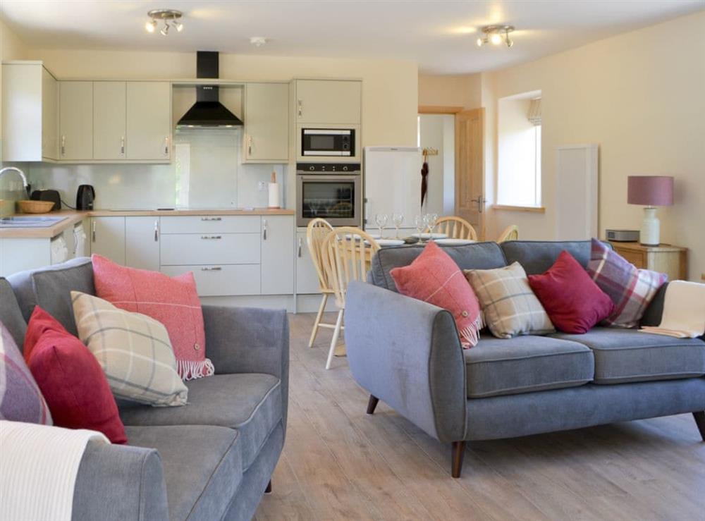 Well presented open plan living space at Riverside Cottage in Boreland, near Lockerbie, Dumfries and Galloway, Dumfriesshire
