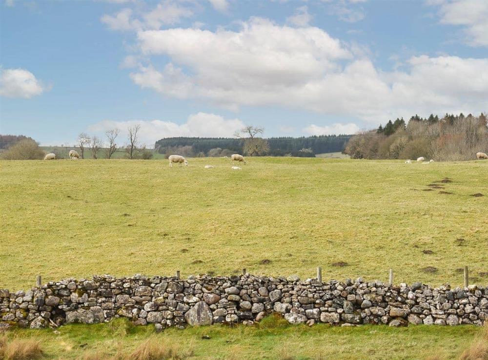 Surrounding area at Riverside Cottage in Maulds Meaburn in the Eden Valley, Cumbria