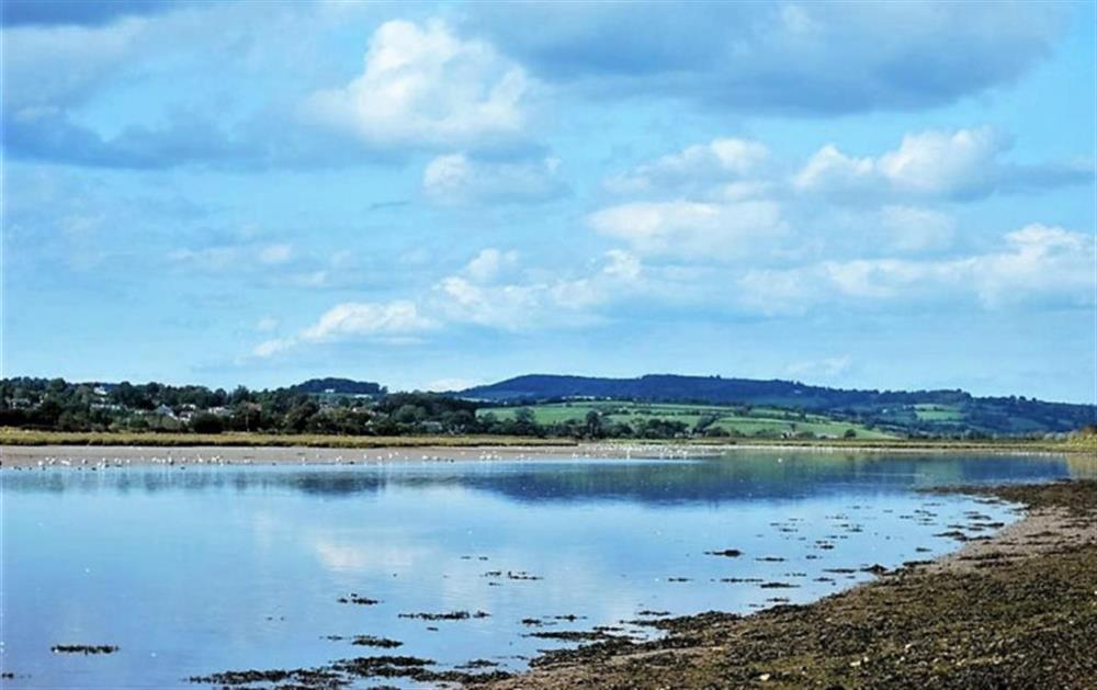 The Axe Estuary and wetlands
