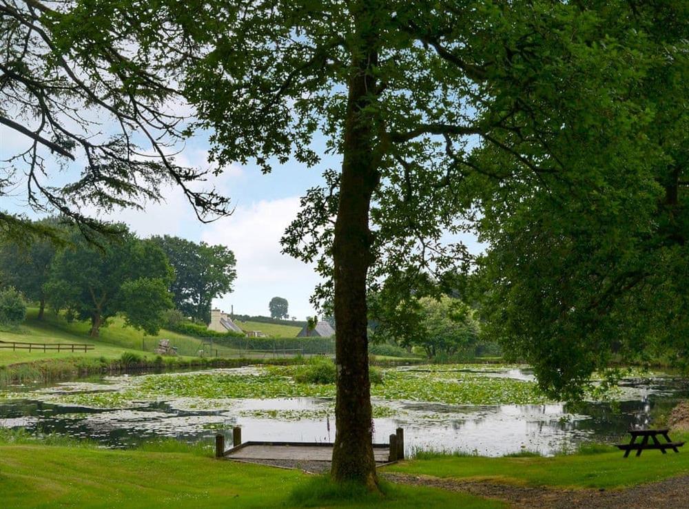 Garden and grounds (photo 5) at Riverside Villa in Liskeard, Cornwall