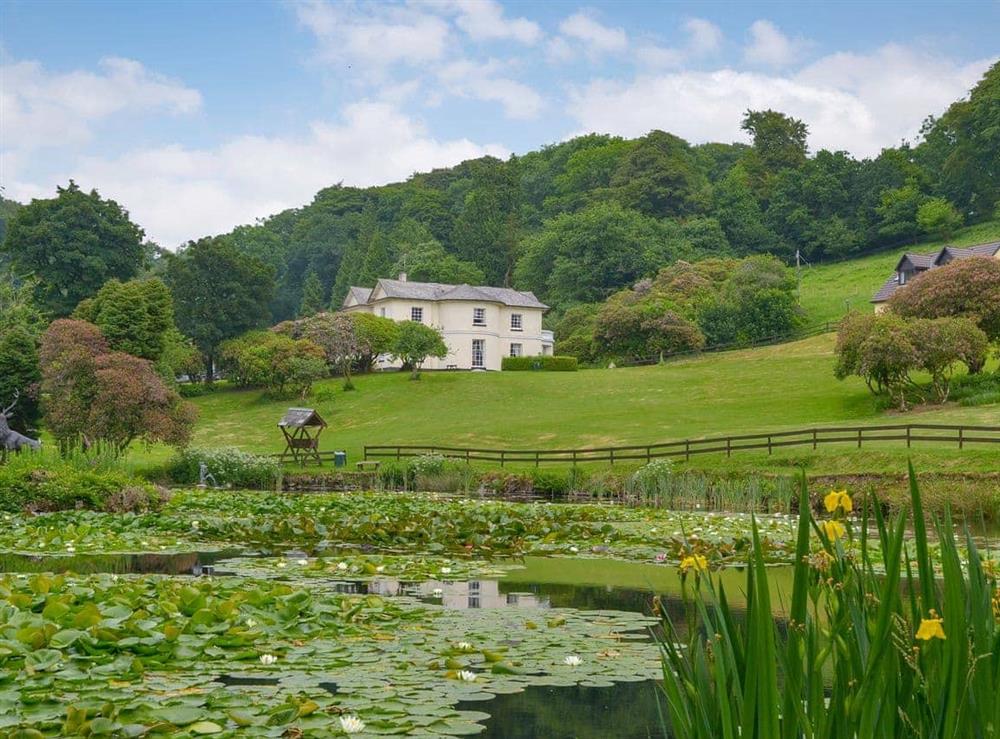 Garden and grounds at Riverside Villa in Liskeard, Cornwall