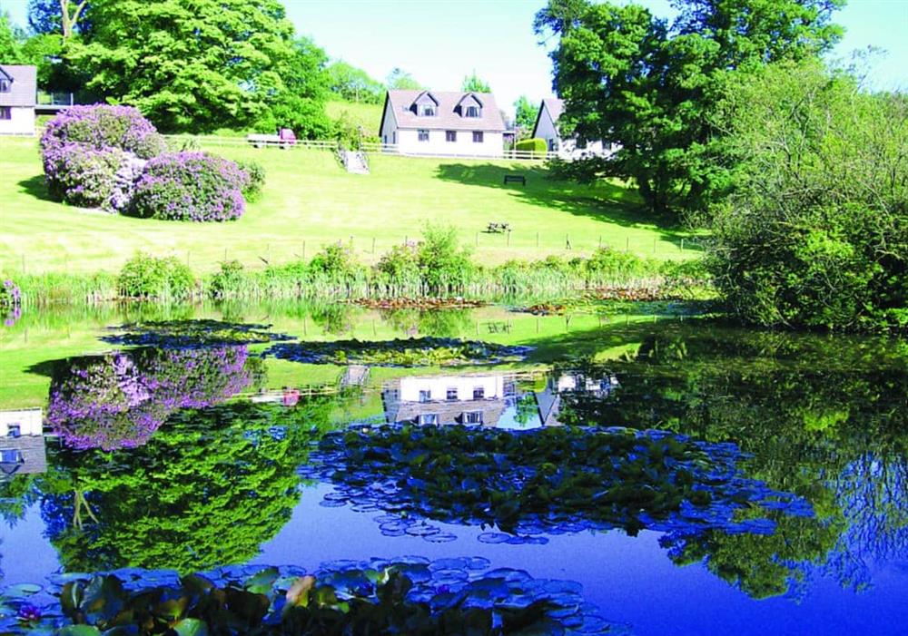 The setting of Rosecraddoc Manor at Riverside Villa in Liskeard, Cornwall