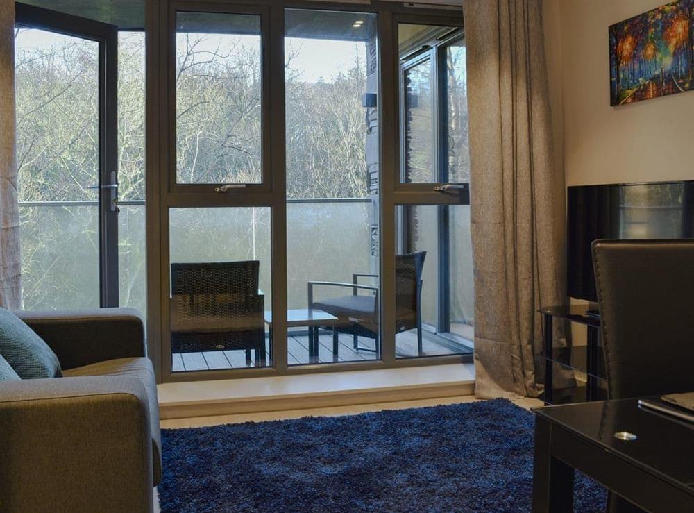 Living area (photo 2) at Riverview apartment in Backbarrow, Cumbria