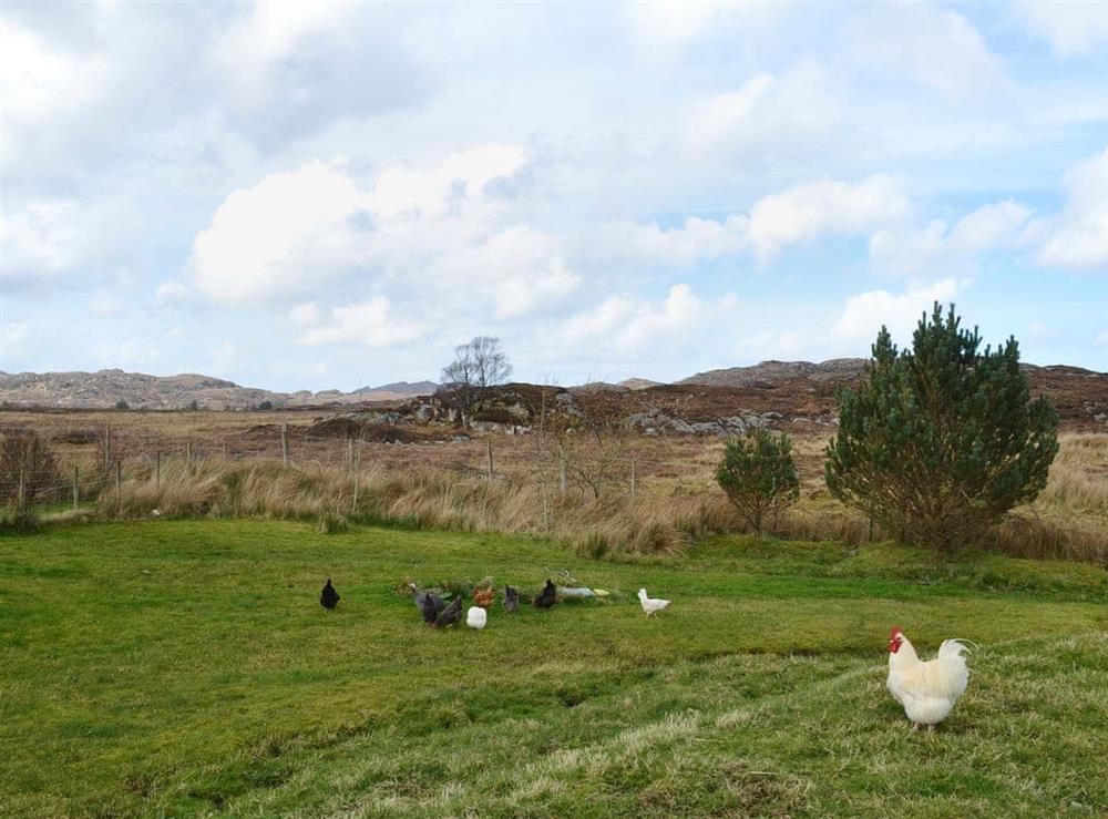 Beautiful open countryside at Riverview Cottage in Acharacle, Argyll