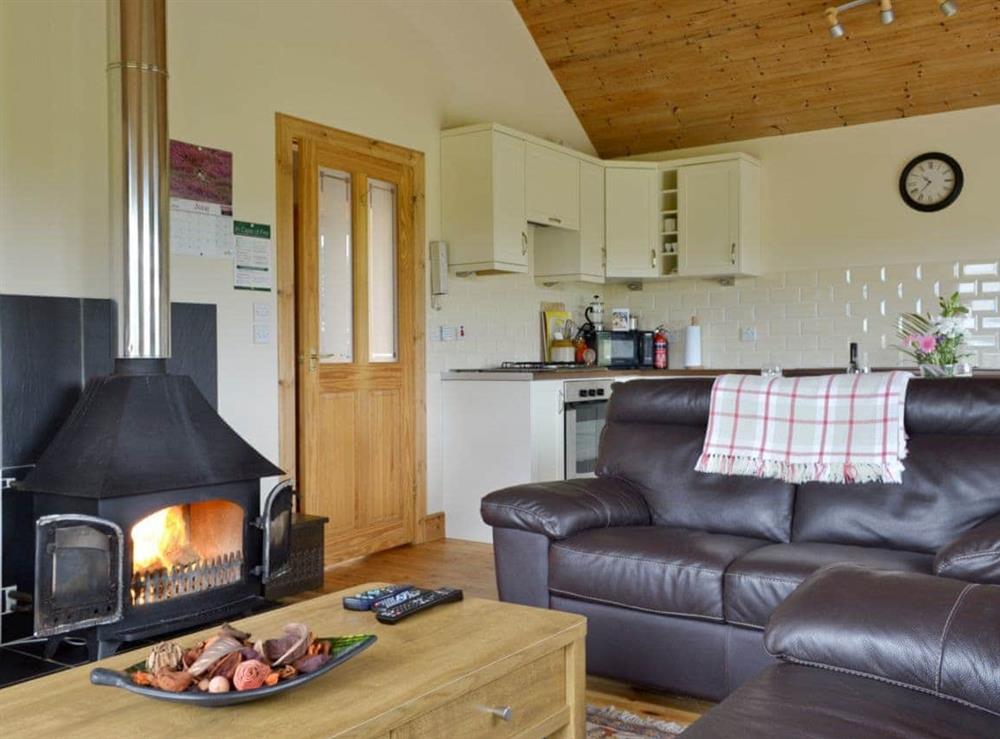 Open-plan living space with wood-burning fire at Riverview Cottage in Acharacle, Argyll