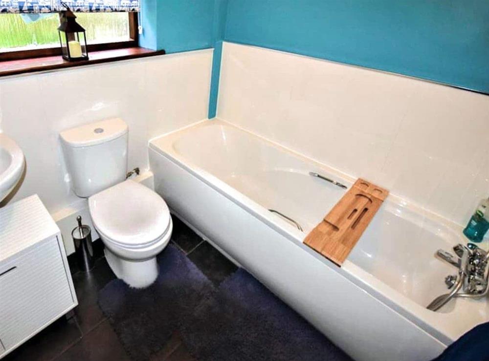 Bathroom at Riverview in Glyn Ceiriog, Clwyd