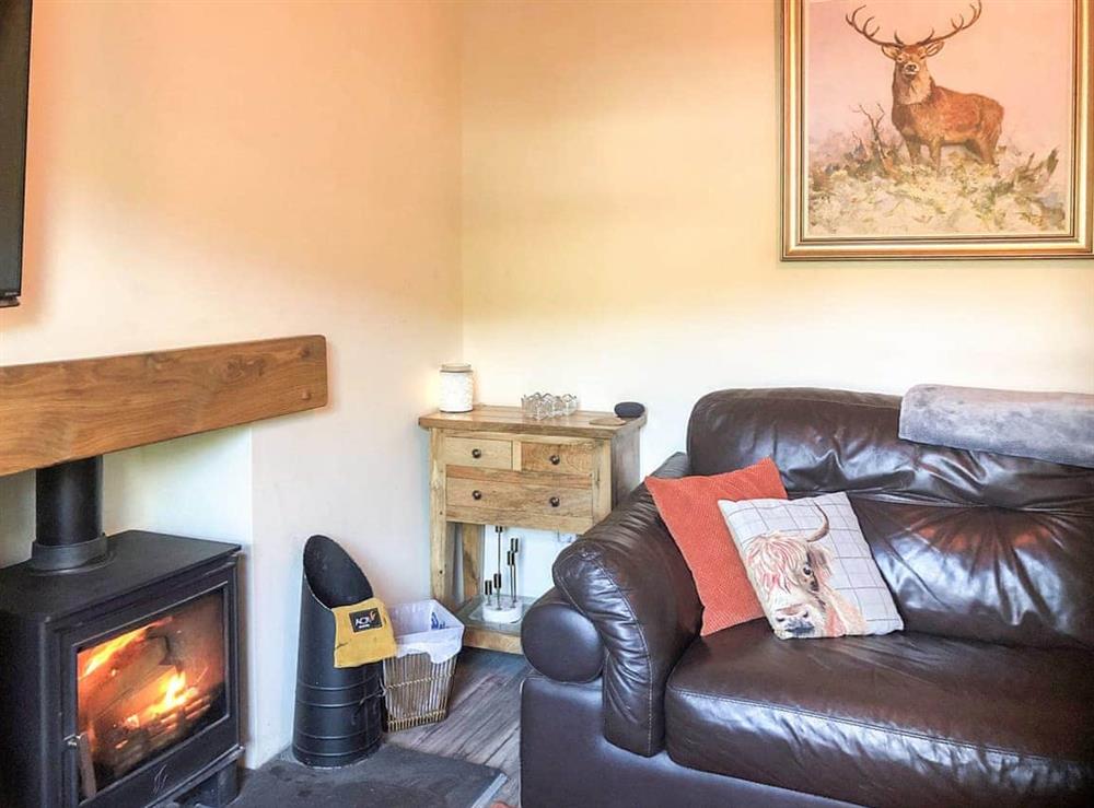 Living room at Riverview in Glyn Ceiriog, Clwyd