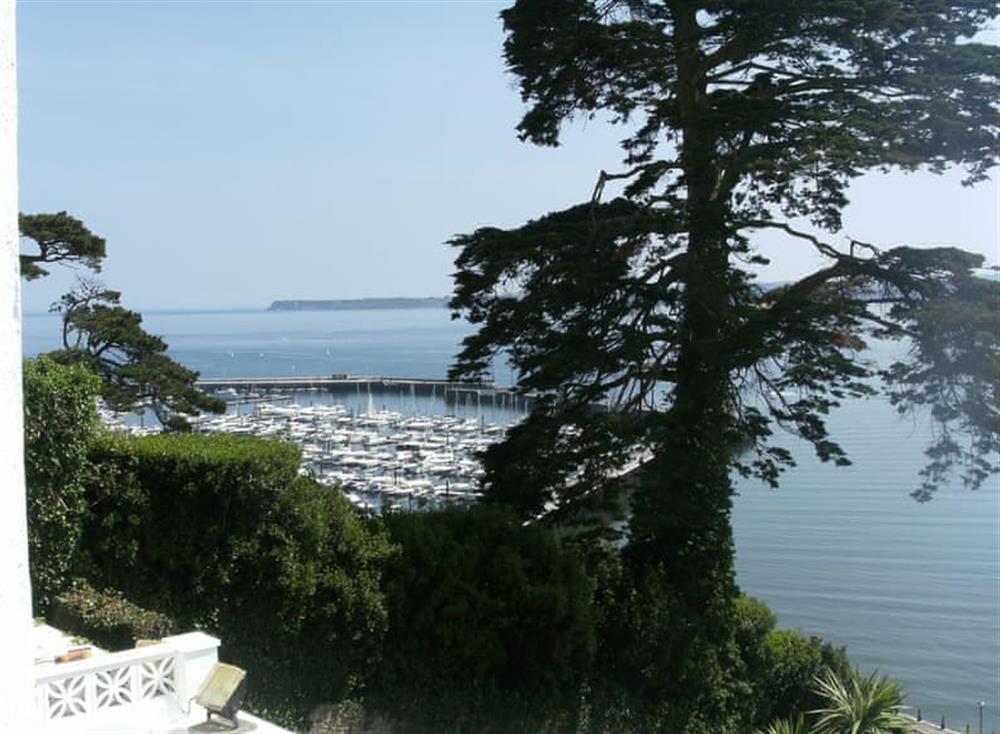 View (photo 2) at Riviera Mansion, The Apartment in South Devon, Torquay