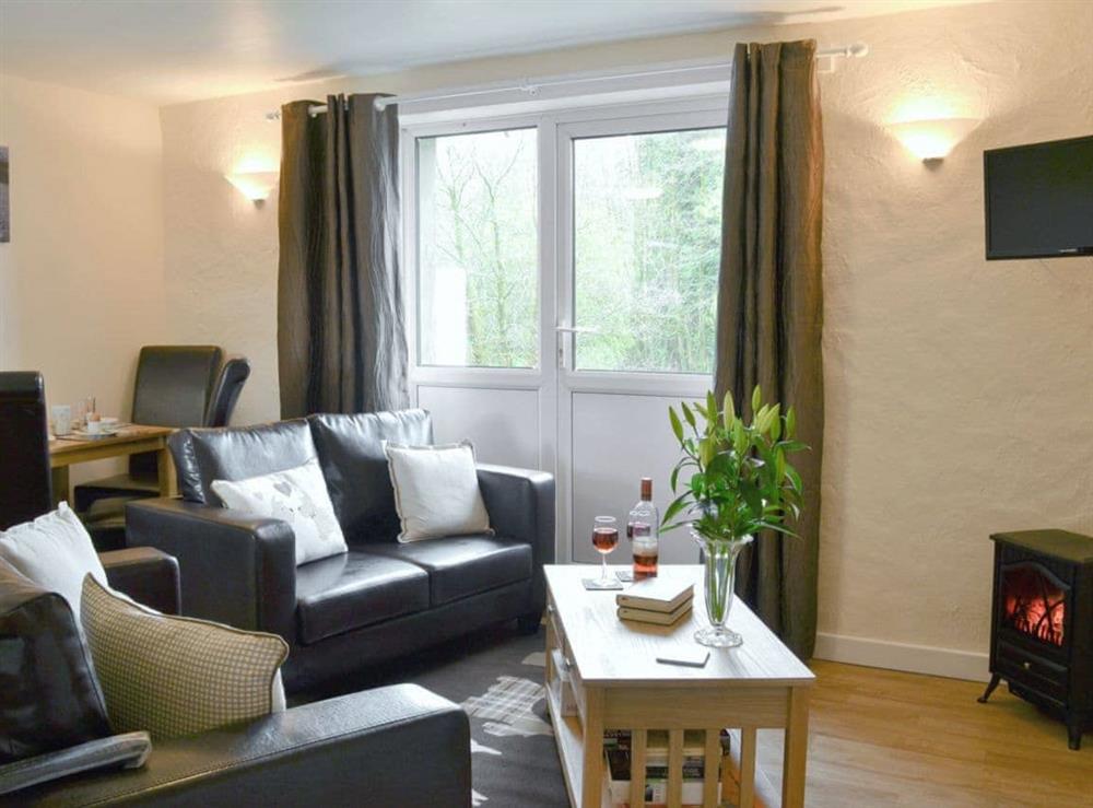 Open plan living/dining room/kitchen at Robin Cottage in Llandeilo, Dyfed
