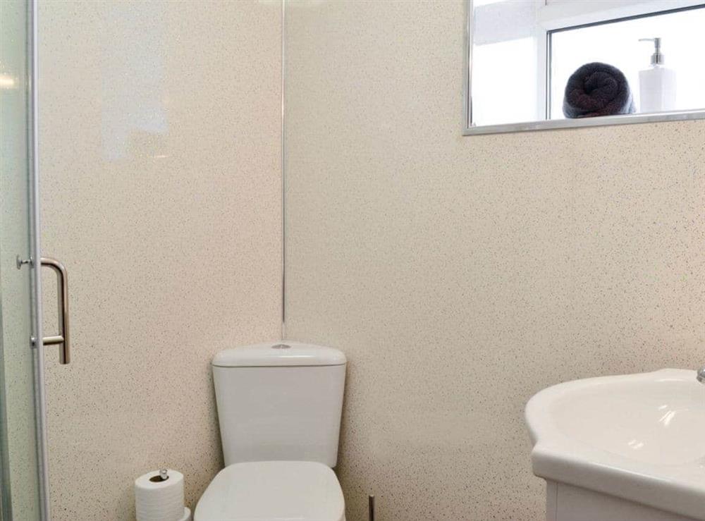 Shower room at Robin Cottage in Llandeilo, Dyfed