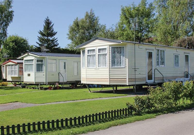 The park setting (photo number 2) at Robin Hood Caravan Park in Vale of York, North of England
