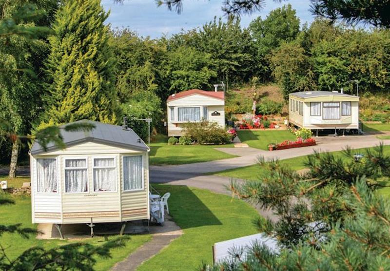 The park setting at Robin Hood Caravan Park in Vale of York, North of England