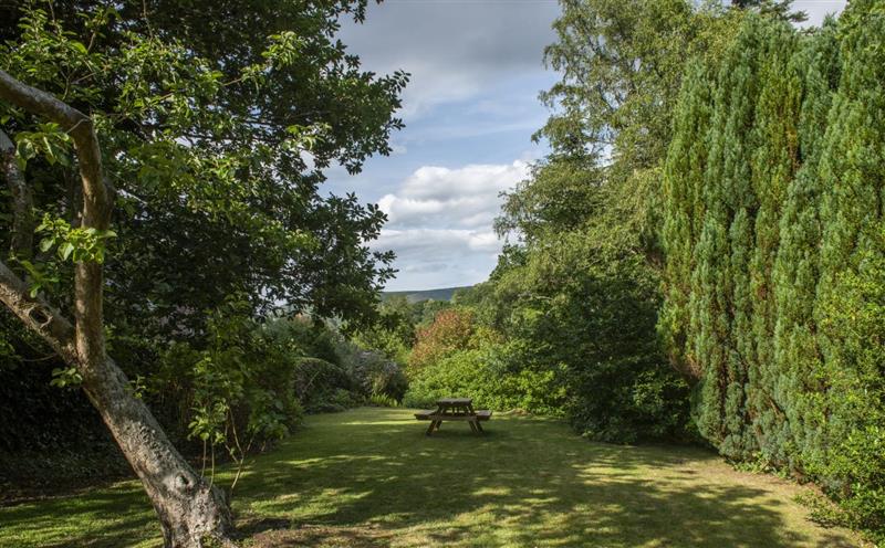 The setting around Robins Brook