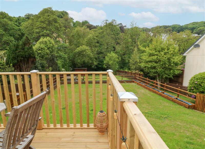 The area around Robins Downs at Robins Downs, Ilfracombe