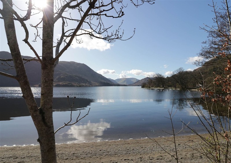 The area around Robin's Lodge
