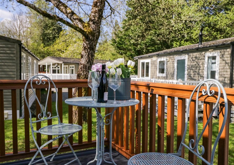 The patio in Robin's Lodge