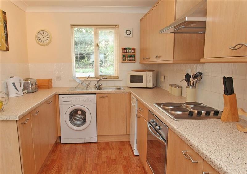 Kitchen (photo 2) at Robinswood, Pendra Loweth near Falmouth