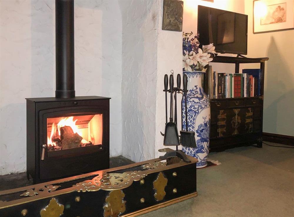 Cosy woodburner in the living room at Robsons Cottage in Alston, , Cumbria