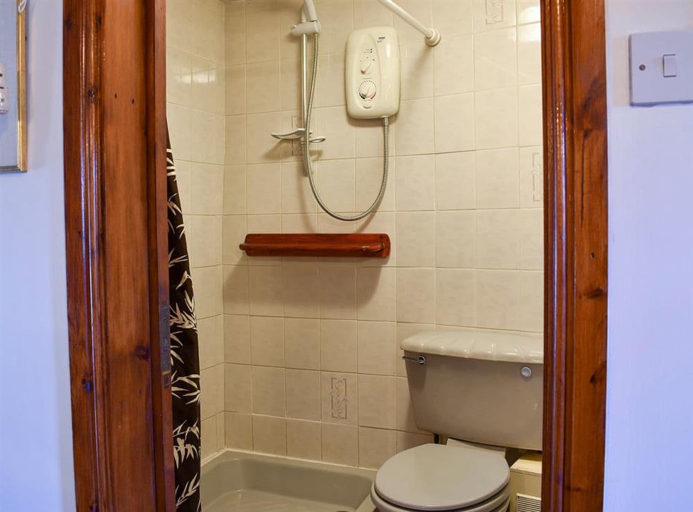 Shower room with sink and toilet at Robsons Cottage in Alston, , Cumbria