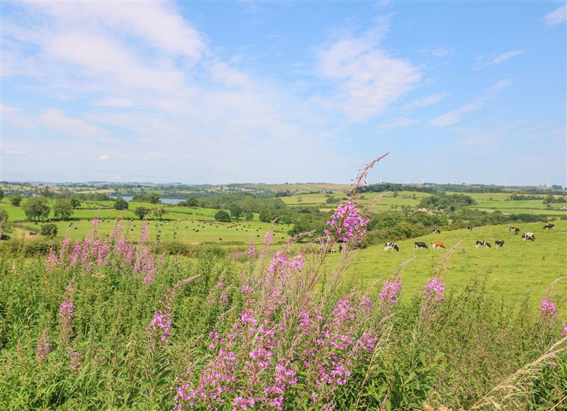 The setting of Rock Cottage