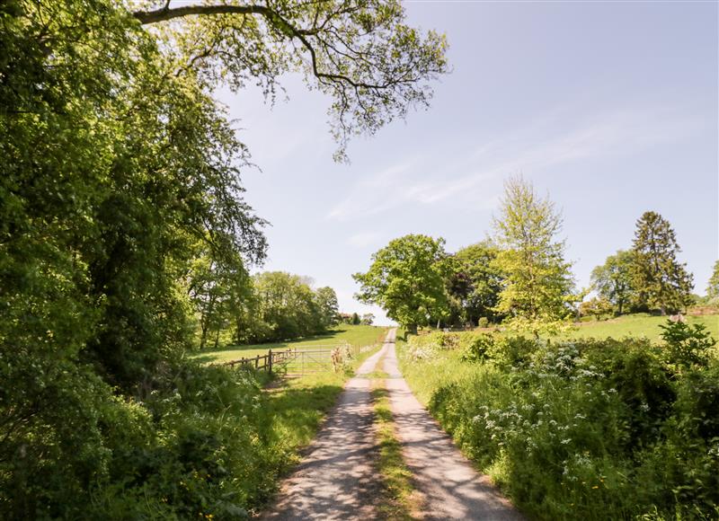 Rural landscape (photo 3) at Rock Cottage, Hatfield near Tenbury Wells