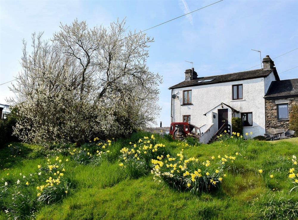 Comfortable mid terraced cottage at Rock Cottage in Kendal, Cumbria