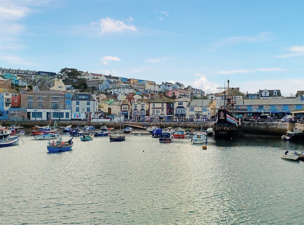 Surrounding area at Rockhopper Cottage in Brixham, Devon