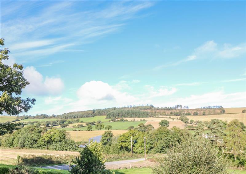 Rural landscape at Rockwood Cottage, Ballycarney near Bunclody