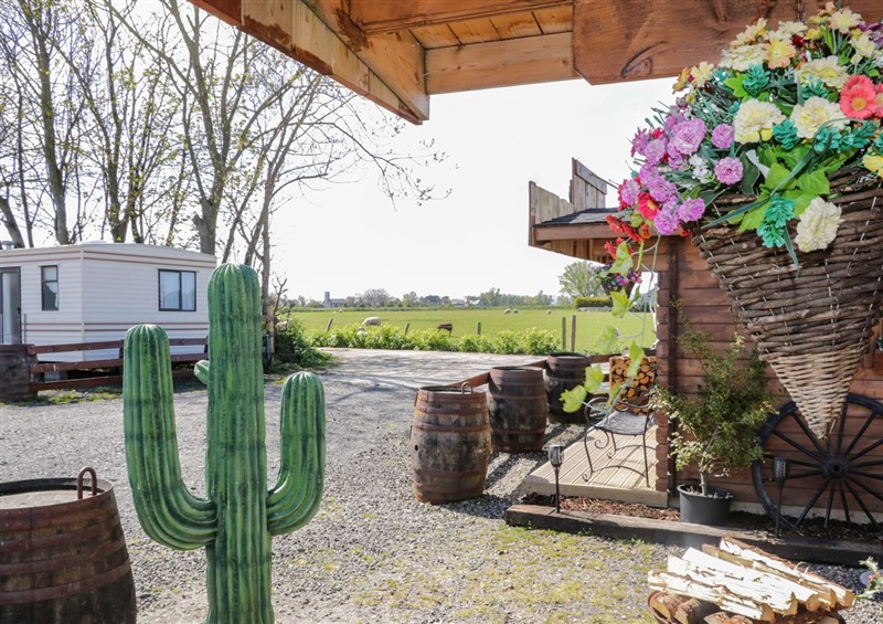The garden in Rocky Ridge Cabin at Rocky Ridge Cabin, Castlerock