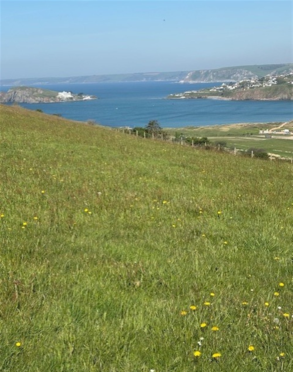 Outside (photo 2) at Rocky's Cottage in Thurlestone