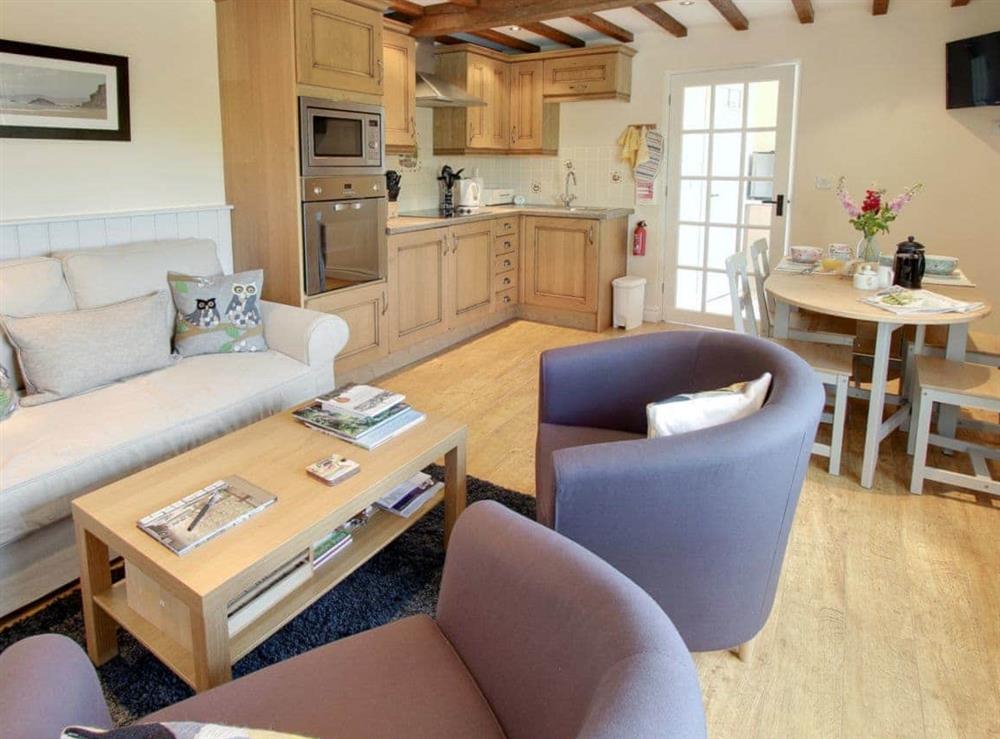 Open plan living/dining room/kitchen at Rodmore Lodge in St Briavels, near Lydney, Gloucestershire