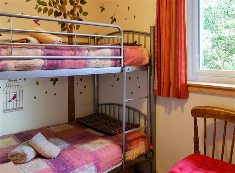 Bunk bedroom at Roe Deer Cottage in Broallan, near Beauly, Inverness-Shire
