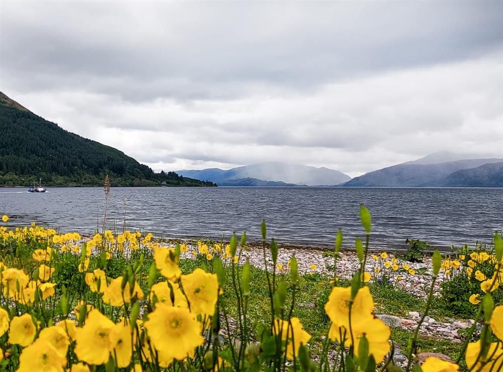 Shore front onto Loch Linnhe. A 5 minutes walk away at Roe Deer Cottage in North Ballachulish, near Glencoe, Inverness-Shire