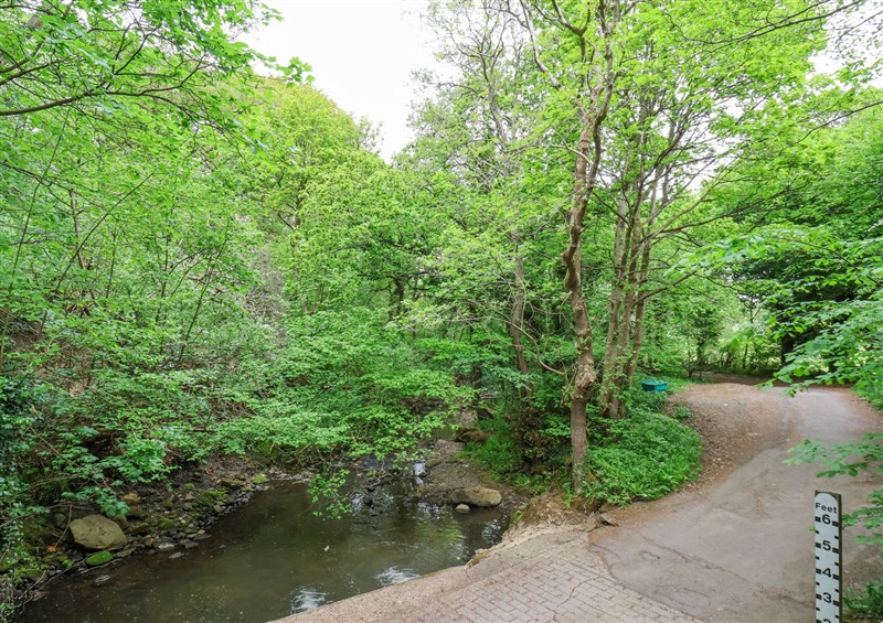The area around Roe Deer Lodge
