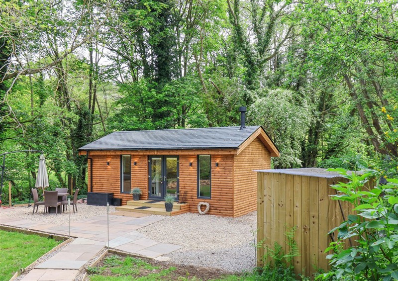 This is the setting of Roe Deer Lodge