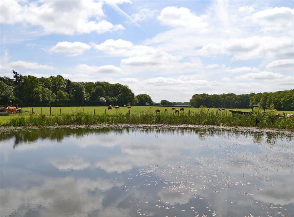 Beautiful surrounding area (photo 2) at Romden Barn in Smarden, near Ashford, Kent