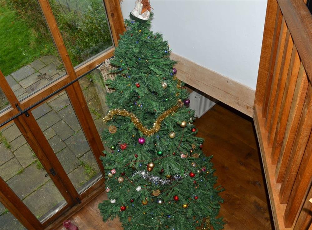 Substantial christmas installed tree over the festive period