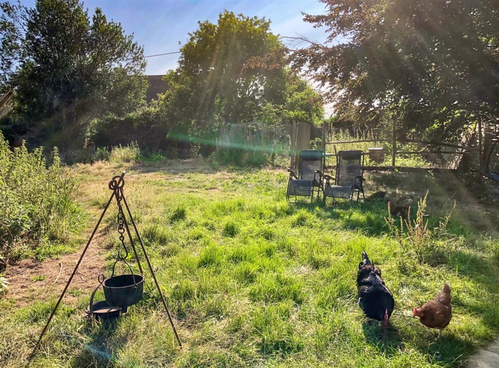 Outdoor (photo 3) at Romney Wagon in Hailsham, East Sussex