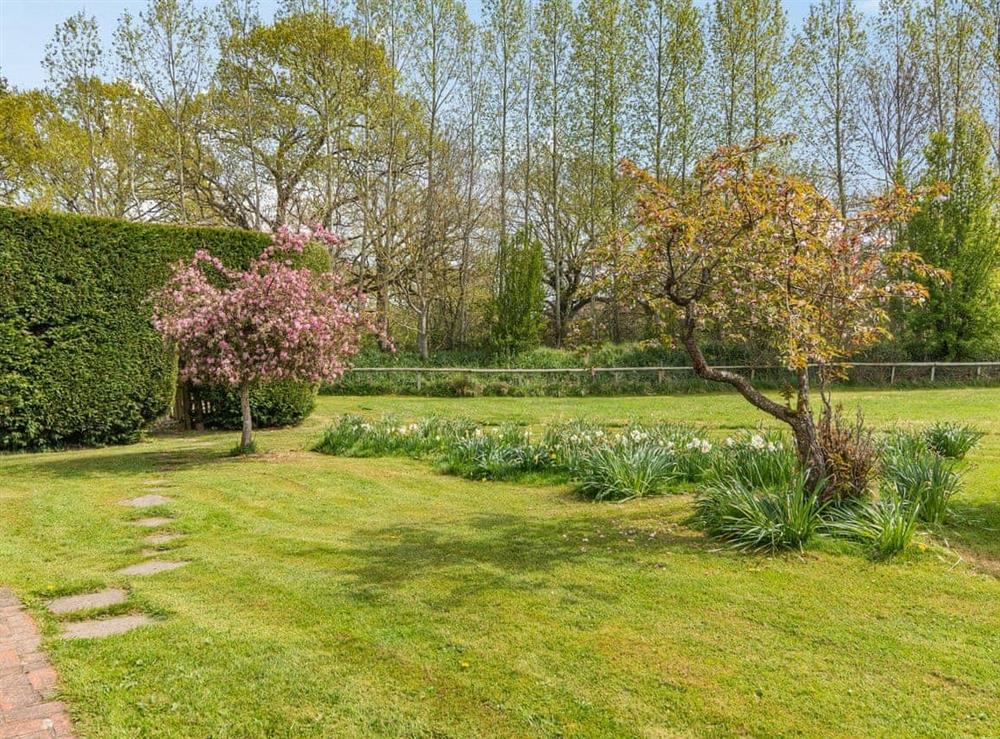 Garden and grounds (photo 2) at Roo Cottage in Barns Green, West Sussex