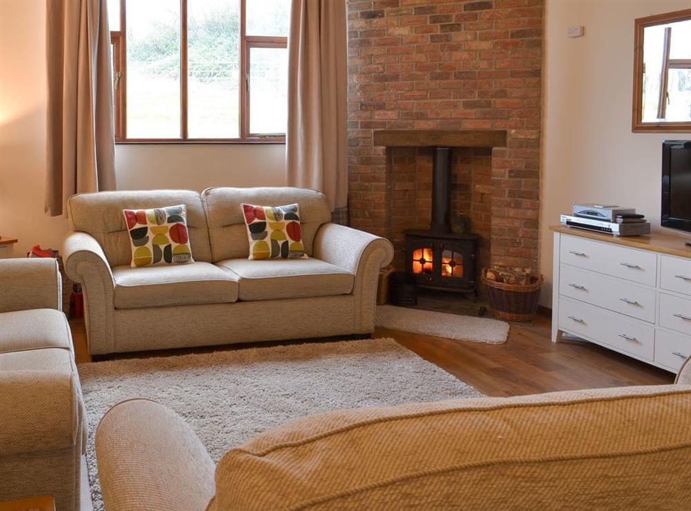 Living room with wood burner at Rook in Ipplepen, Nr Totnes., Devon