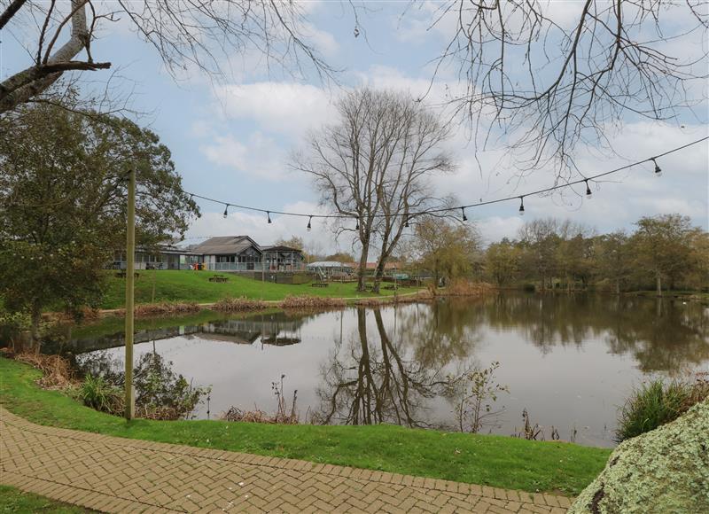 The setting around Rookley Lake Cottage