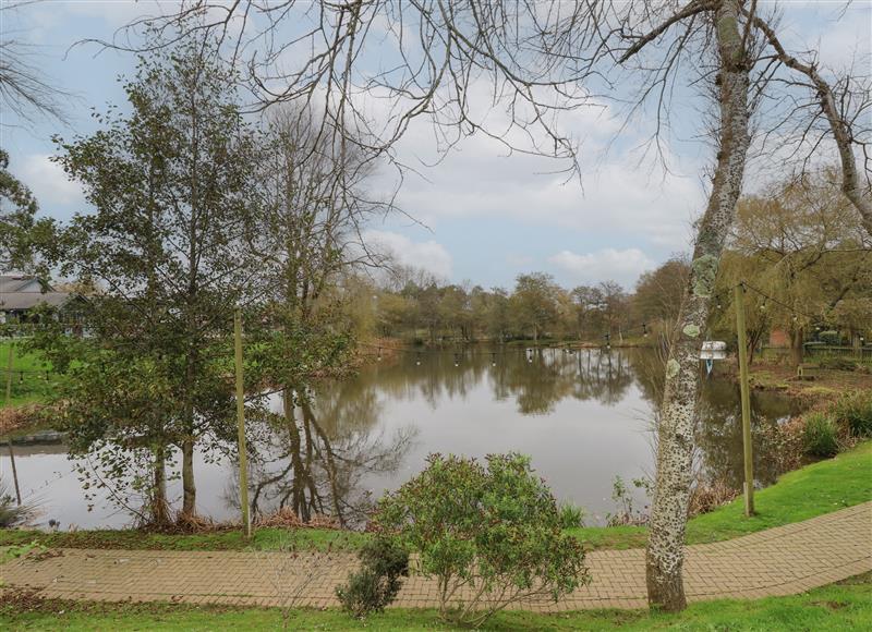 The setting around Rookley Lake Cottage