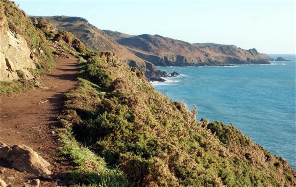 South West coastal path at Rosario in East Prawle