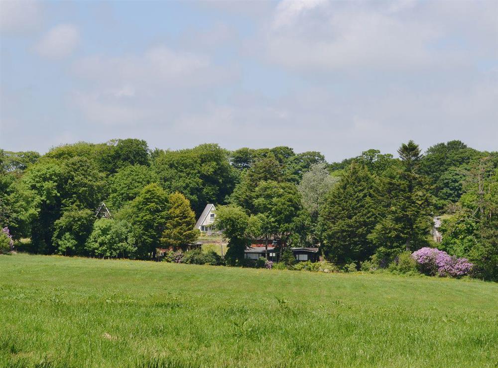 Looking across the fields towards W43108 and W43362 at Roscarrock in Bradworthy, near Holsworthy, Devon