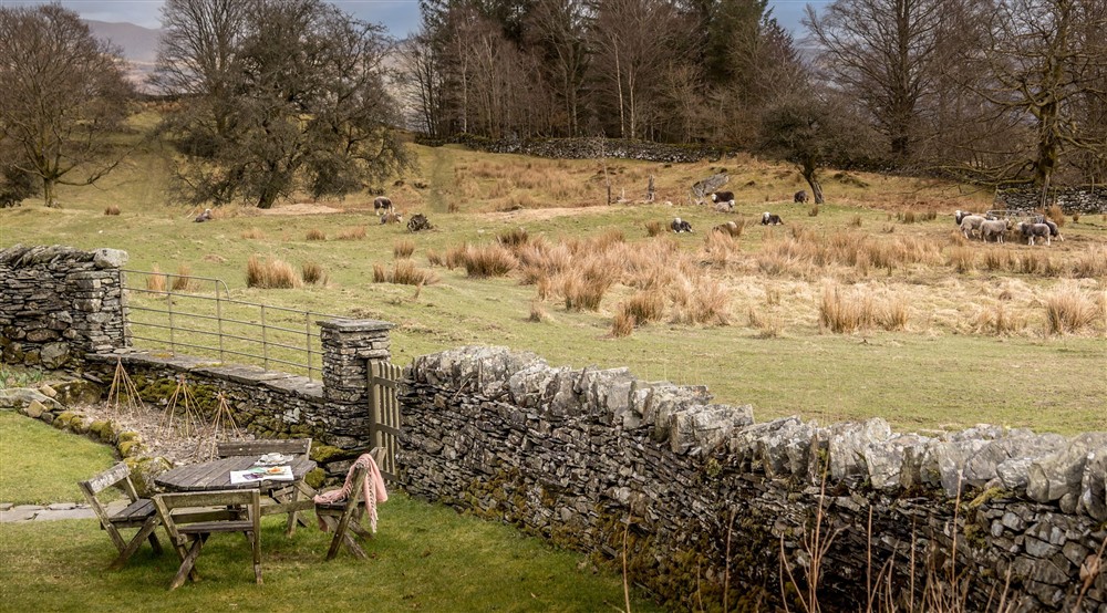 The garden with picnic table and field beyond with sheep at Rose Castle Cottage in Nr Coniston, Cumbria