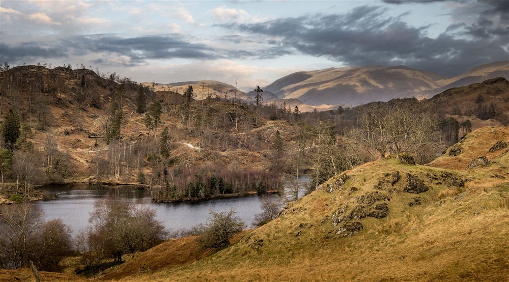 The lake and hills of Tarn Hows, Cumbria at Rose Castle Cottage in Nr Coniston, Cumbria