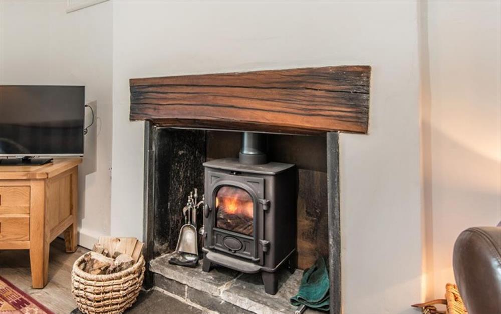 The feature fireplace with wood burner at Rose Cottage Annexe in Colyton